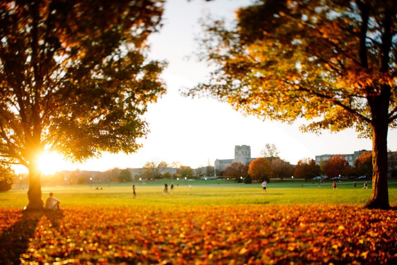 A sunlit Drillfield with Burruss Hall in view between two large trees. (Photo by Christina Franusich/Virginia Tech)